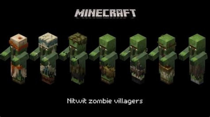 Can baby villagers become nitwits?