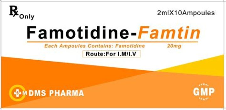 Can dogs take human famotidine?
