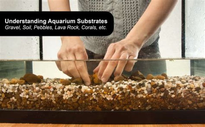 Can I put big rocks in my fish tank?
