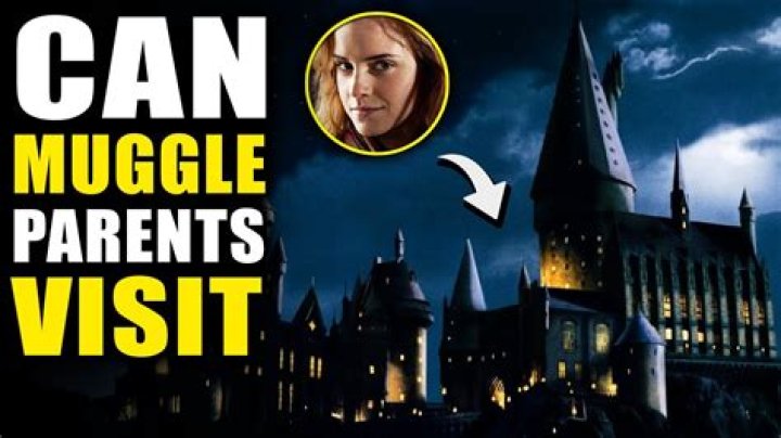 Can Muggles parents go through Platform 9 3 4?