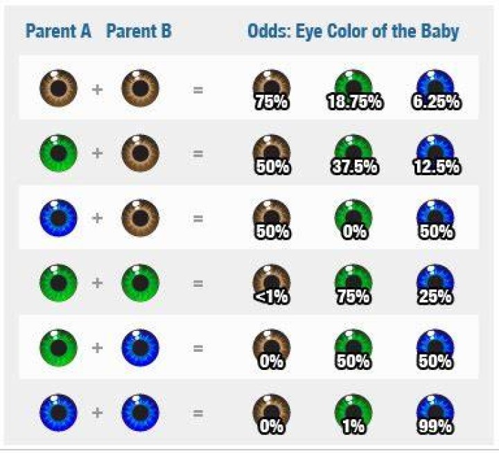Can two blue-eyed make a green eyed baby?