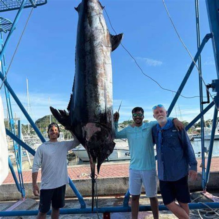 Do people eat blue marlin?
