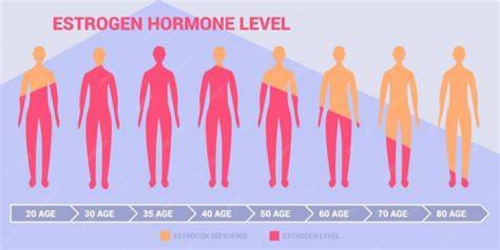 Does estrogen make your hips wider?