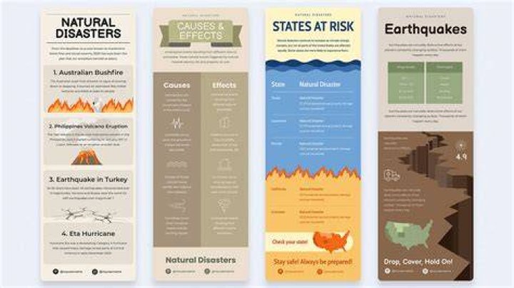 What are three major effects of natural disasters?