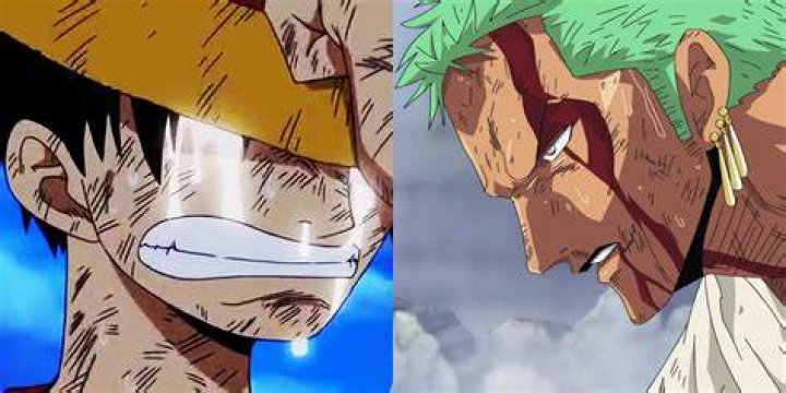 What episode does Zoro cut Luffy's chest?